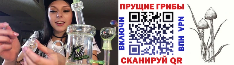 Галлюциногенные грибы Psilocybine cubensis Новый Оскол